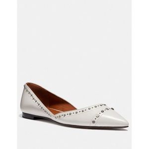Coach Valintina Chalk Pointed Toe Flats